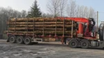 GRUME DE BOIS DE TECK 1 CAMION DE 40M3