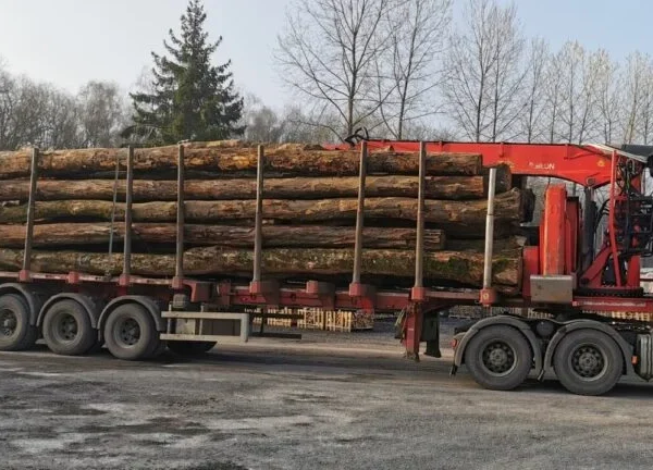 GRUME DE BOIS DE TECK 1 CAMION DE 40M3